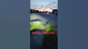 Противотуманные фары Даф. ПТФ Daf